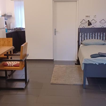Studio Apartman Ada Samobor Exterior foto